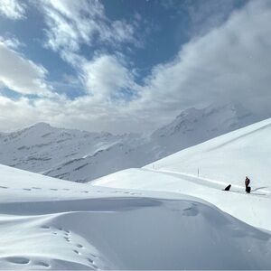 Meet your Posher, Raja